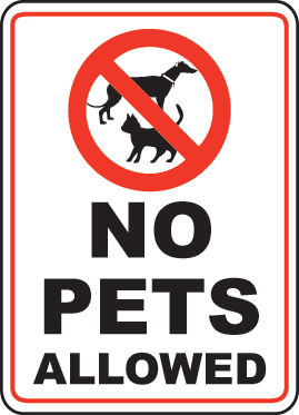 Way around the no pet policy